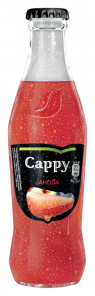 Cappy Jahoda mix 250ml