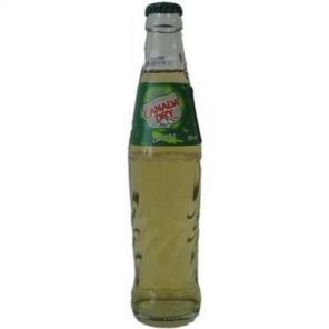 Schweppes Ginger Ale 0.25 l SK